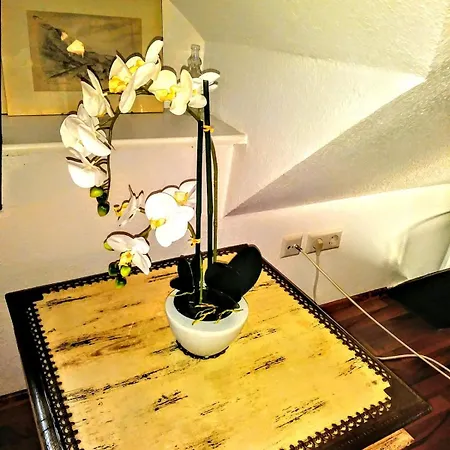 Lavendel Apartment Sinzheim