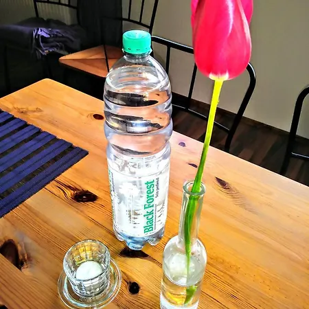 Lavendel Sinzheim